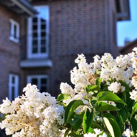 Appartement Fw Steuerbord Peildeck Wustrow (Fischland)